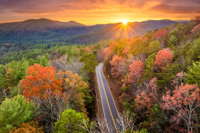 A wooded Tennessee road at dawn.
